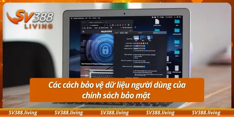 Các cách bảo vệ dữ liệu người dùng của chính sách bảo mật