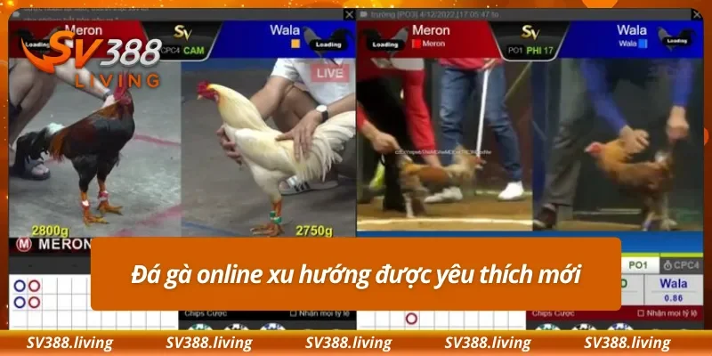 Đá gà online xu hướng được yêu thích mới