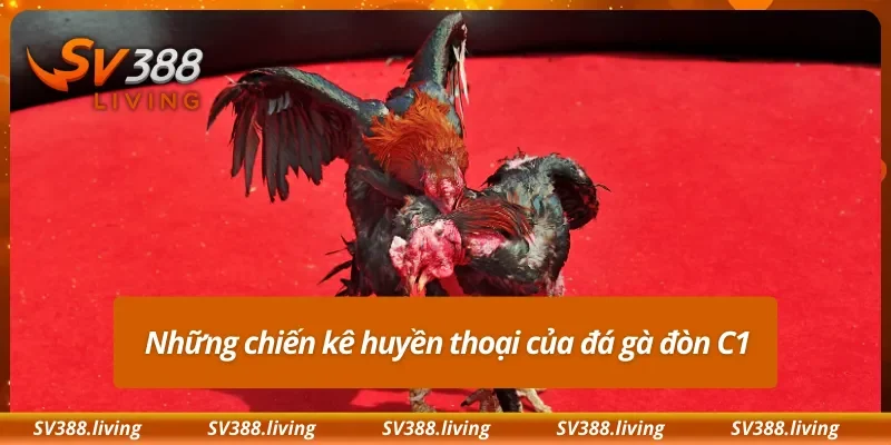 Những chiến kê huyền thoại của đá gà đòn C1
