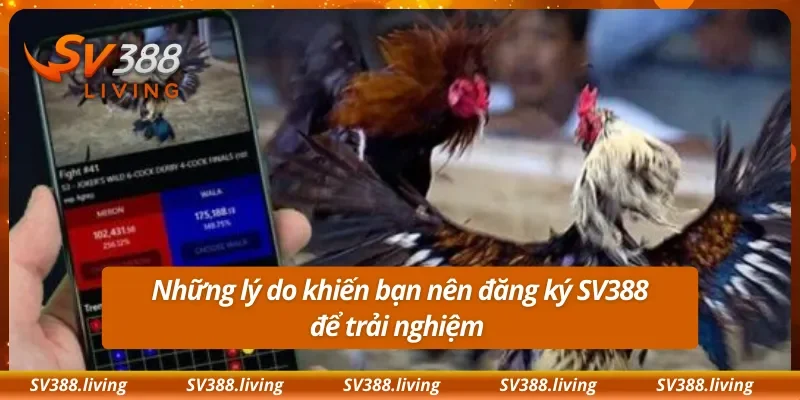 Những lý do khiến bạn nên đăng ký SV388 để trải nghiệm