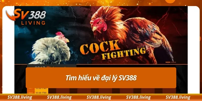 Tìm hiểu về đại lý SV388